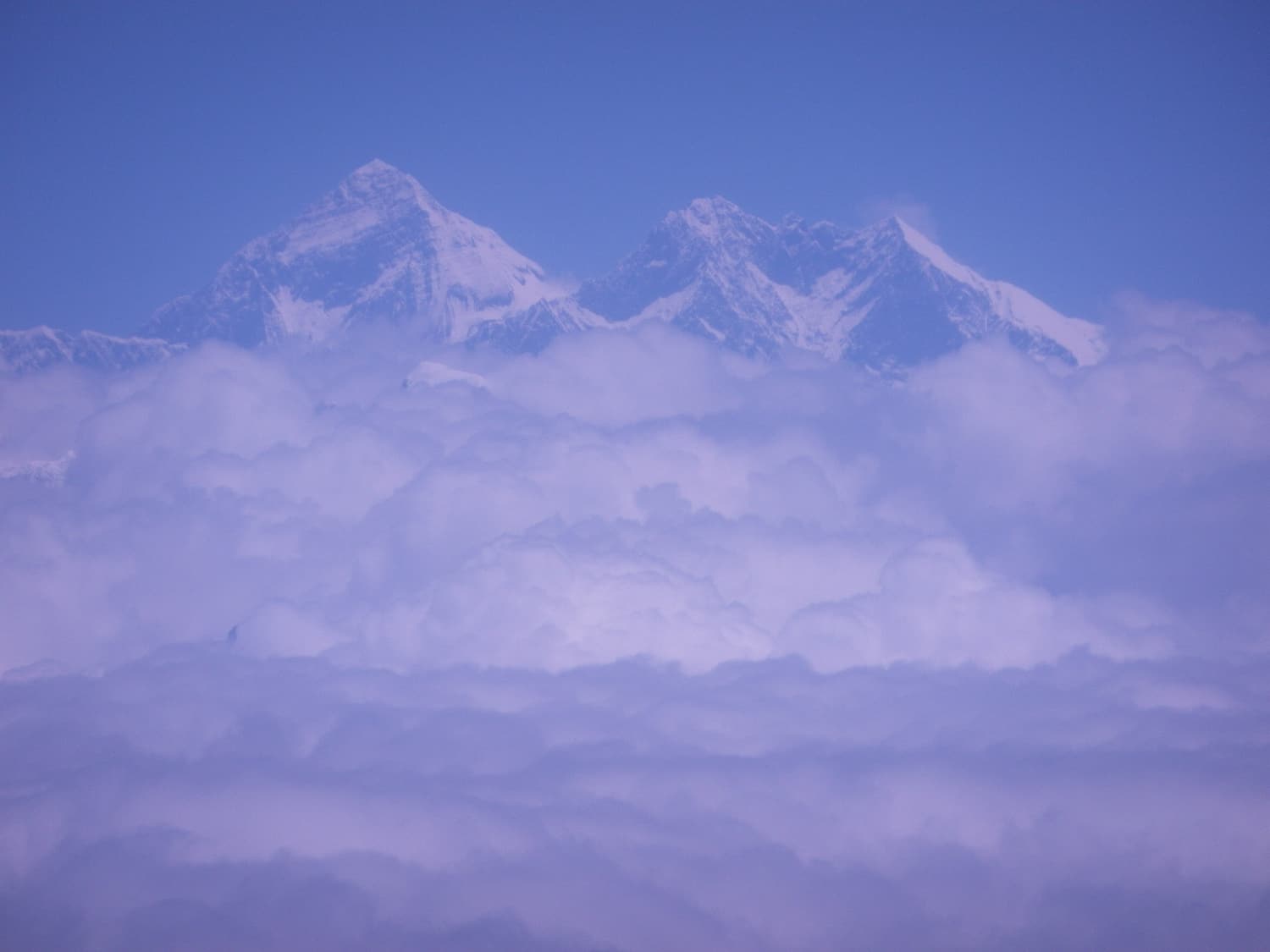 The summit of Everest rising above a sea of cloud, seen from the air